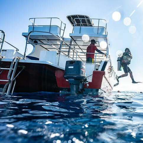 Las Terrenas boat diving Divers preparing to enter the water from a dive boat near Las Terrenas
