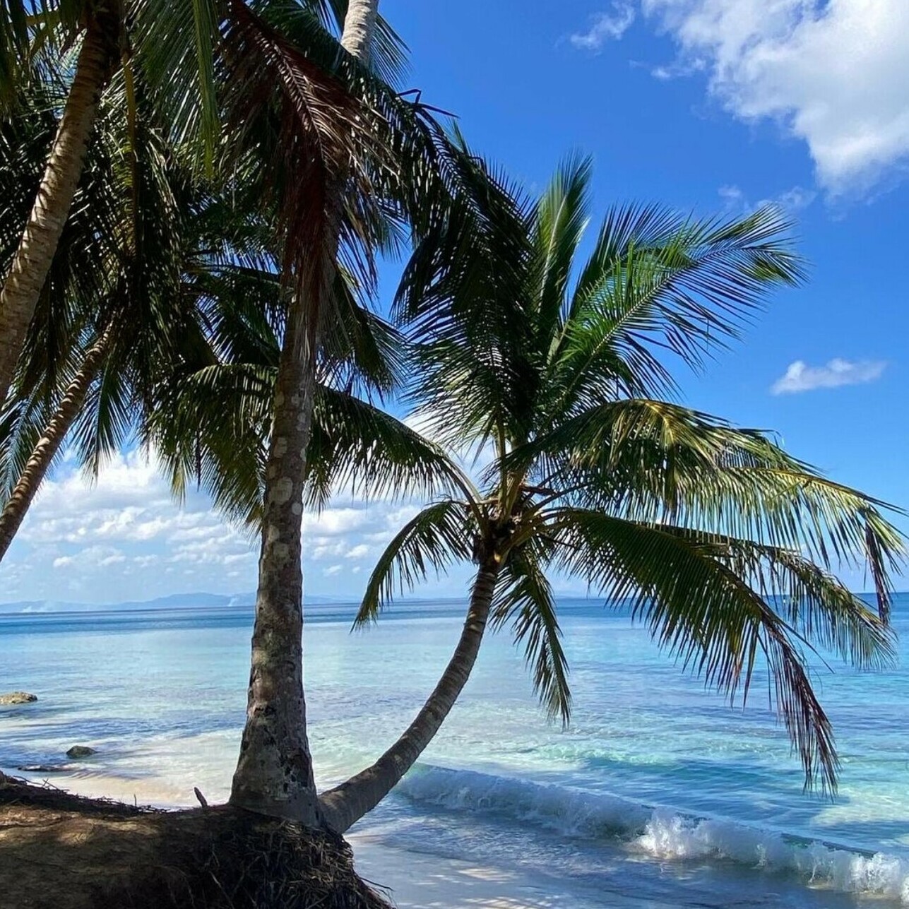Jackson Bay beach Palm-lined tropical beach at Jackson Bay near Las Terrenas